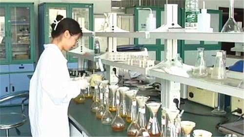 長沙建設(shè)中試基地 技術(shù)咨詢與服務(wù)如何為全球研發(fā)中心注入核心動(dòng)能